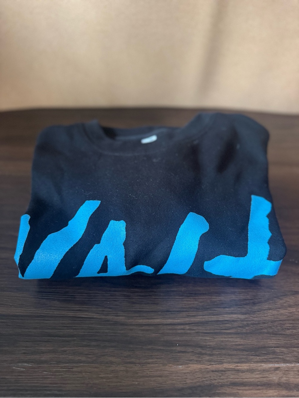 Yeah Yeah Yeahs 2025 Hidden Pieces Tour Merch Pullover NWOT